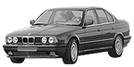 BMW E34 P1396 Fault Code